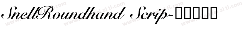 SnellRoundhand Scrip字体转换
